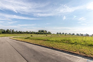 Each lot in Bellemead is prepped and ready for your vision. With - photo 12