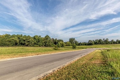 Each lot in Bellemead is prepped and ready for your vision. With - photo 13