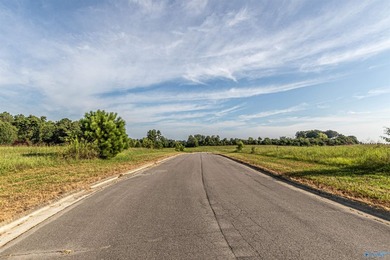 Each lot in Bellemead is prepped and ready for your vision. With - photo 15
