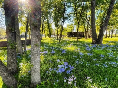 Rare opportunity to own over 31 breathtaking acres of pristine - photo 25