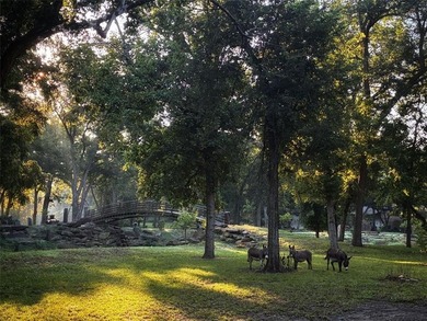 Rare opportunity to own over 31 breathtaking acres of pristine - photo 27