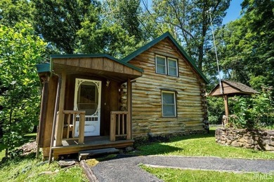 Lake properties like this are hard to find This sturdy log home - photo 30
