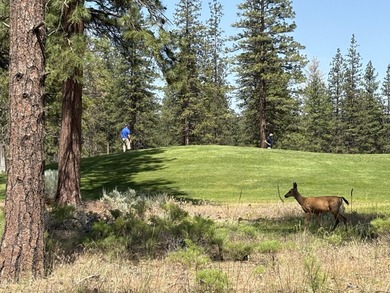 Lake Shastina Lot For Sale in Weed California