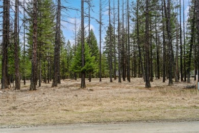 Lake Lot For Sale in Eureka, Montana