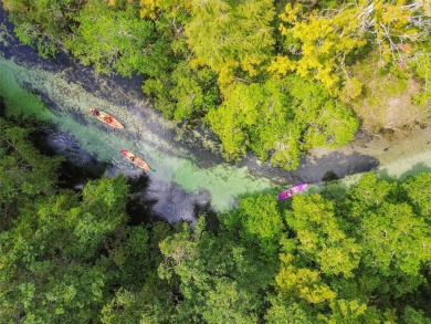 (private lake, pond, creek) Lot For Sale in Weeki Wachee Florida