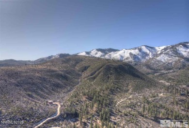 Washoe Lake Acreage For Sale in Washoe Valley Nevada