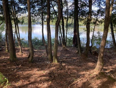 NORWAY LAKE - Don't miss this rare opportunity to own a - photo 5