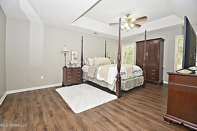 Beautiful and Open in an established Olive Branch Subdivision is - photo 20