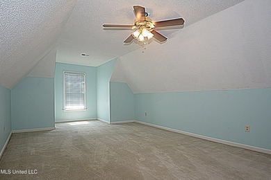 Beautiful and Open in an established Olive Branch Subdivision is - photo 29