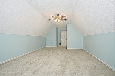 Beautiful and Open in an established Olive Branch Subdivision is - photo 30
