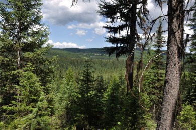 (private lake, pond, creek) Acreage For Sale in Whitefish Montana