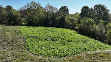 What an unbelievable property!!! 53 acres with a new metal shop - photo 33