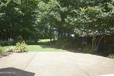 Beautiful and Open in an established Olive Branch Subdivision is - photo 35