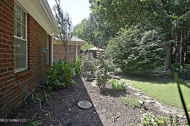 Beautiful and Open in an established Olive Branch Subdivision is - photo 36