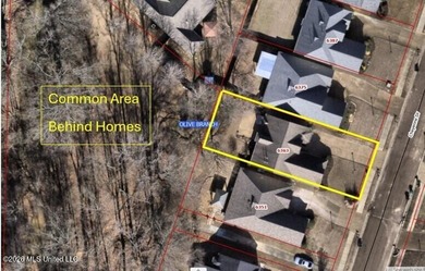 Beautiful and Open in an established Olive Branch Subdivision is - photo 37