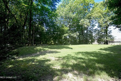 Beautiful and Open in an established Olive Branch Subdivision is - photo 38