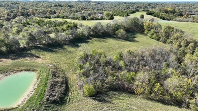 What an unbelievable property!!! 53 acres with a new metal shop - photo 38