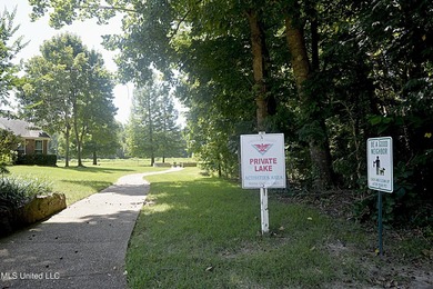 Beautiful and Open in an established Olive Branch Subdivision is - photo 39
