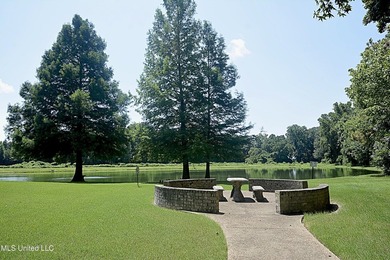 Beautiful and Open in an established Olive Branch Subdivision is - photo 40