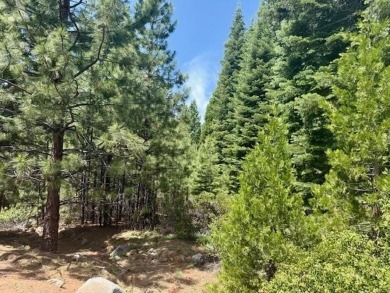 Lake Lot For Sale in Lake Almanor, California