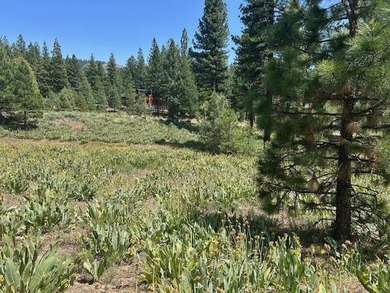 Discover the perfect setting for your mountain dream home on - photo 6