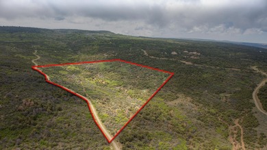 (private lake, pond, creek) Acreage For Sale in Glade Park Colorado