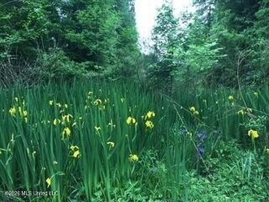 Price reduced due to separating the additional commercial lot - photo 41