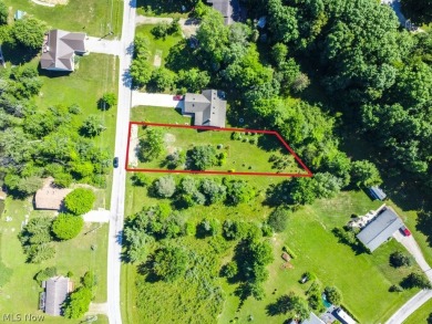 Cinnamon Lake Lot For Sale in West Salem Ohio