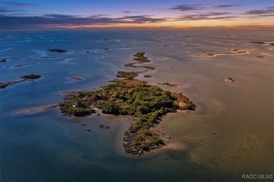 Escape to your own slice of paradise with this rare 4-acre - photo 1