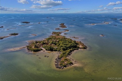 Escape to your own slice of paradise with this rare 4-acre - photo 4
