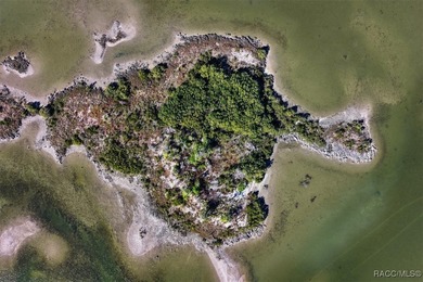 Escape to your own slice of paradise with this rare 4-acre - photo 5