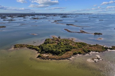 Escape to your own slice of paradise with this rare 4-acre - photo 6