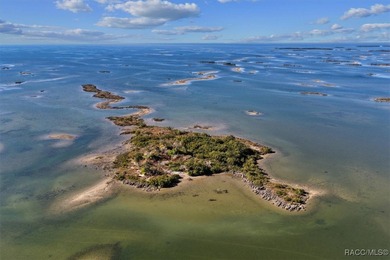 Escape to your own slice of paradise with this rare 4-acre - photo 7