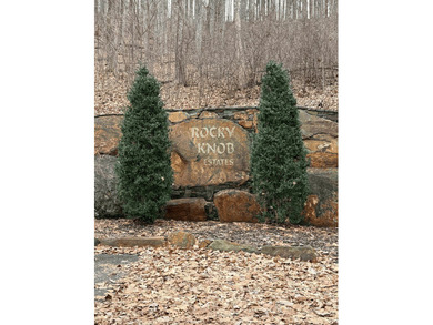 Follow your dreams to this exceptional mountain-view homesite in - photo 19