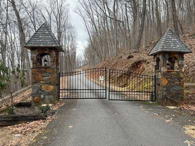Follow your dreams to this exceptional mountain-view homesite in - photo 20