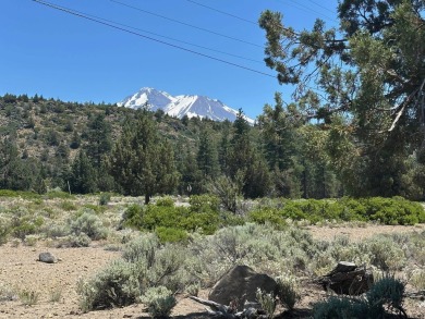 Lake Lot For Sale in Weed, California
