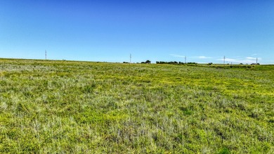 Discover over 187 acres of prime land in the highly desirable - photo 18