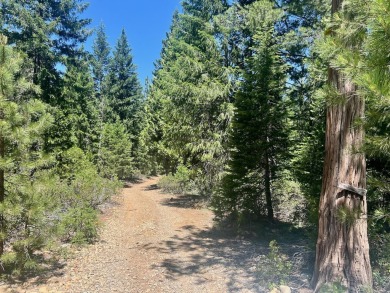 (private lake, pond, creek) Lot For Sale in Johnsville California