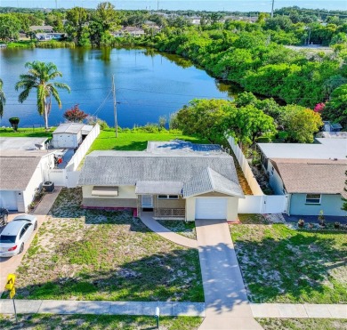 (private lake, pond, creek) Home For Sale in Holiday Florida