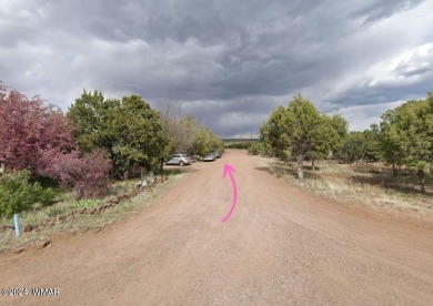 Lake Lot Off Market in Show Low, Arizona