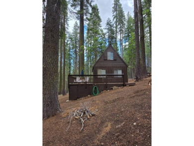 Lake Home For Sale in Bucks Lake, California