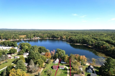 Lake Home For Sale in Irons, Michigan