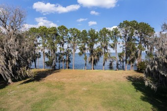 Lake Harris Lot Sale Pending in Yalaha Florida