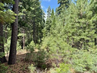 Lake Lot For Sale in Lake Almanor, California
