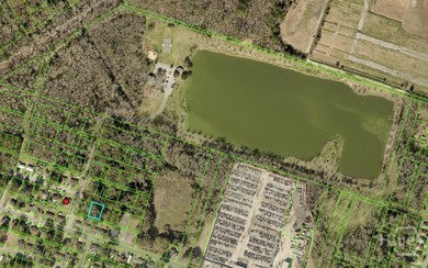 Buildable double lot 80'x100'. Possibility to subdivide into 2 - photo 2