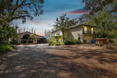 Lake Home For Sale in Odessa, Florida