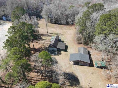 Lake Home For Sale in Hamer, South Carolina