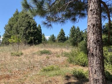 Lake Lot For Sale in Lake Almanor, California