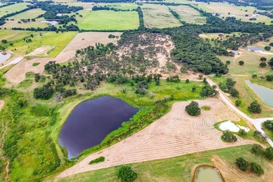 (private lake, pond, coastal) Acreage For Sale in Collinsville Texas
