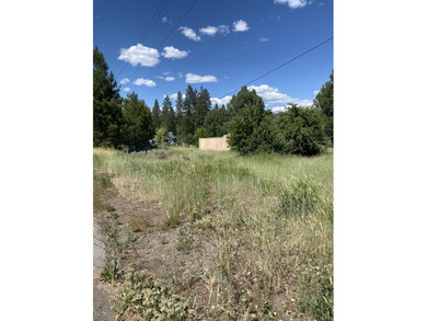 Mountain Meadows Reservoir Lot For Sale in Westwood California